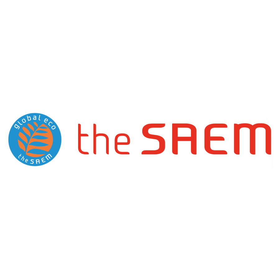 the SAEM